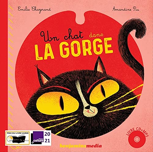 UN  CHAT DANS LA GORGE